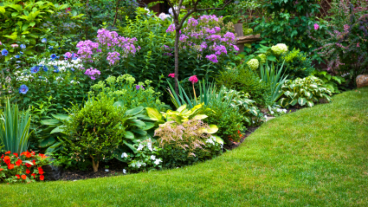 Lush landscaped garden with flowerbed and colorful plants